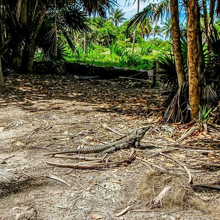 Aldea Zama Hotel Tulum Pueblo Buitenkant foto